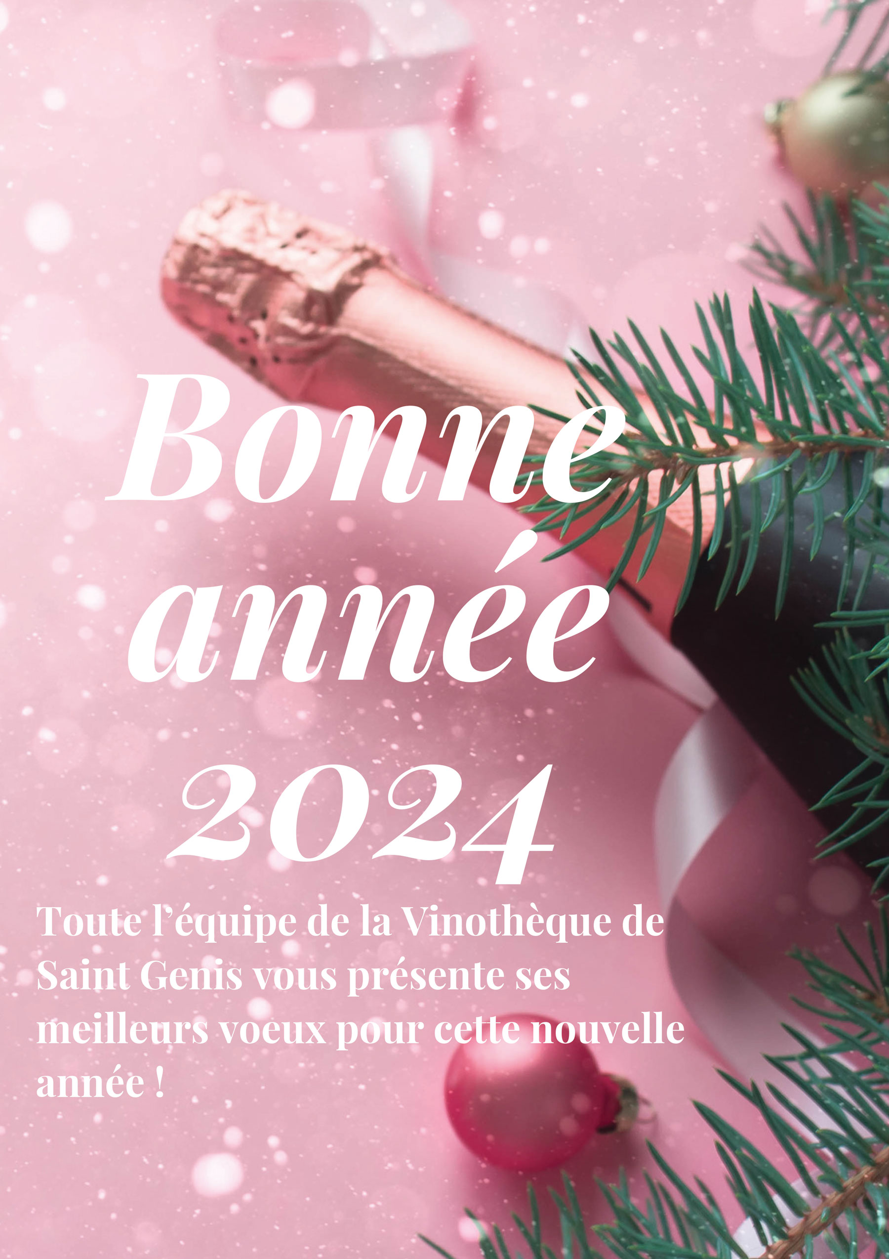 Newsletter Janvier 2024 1