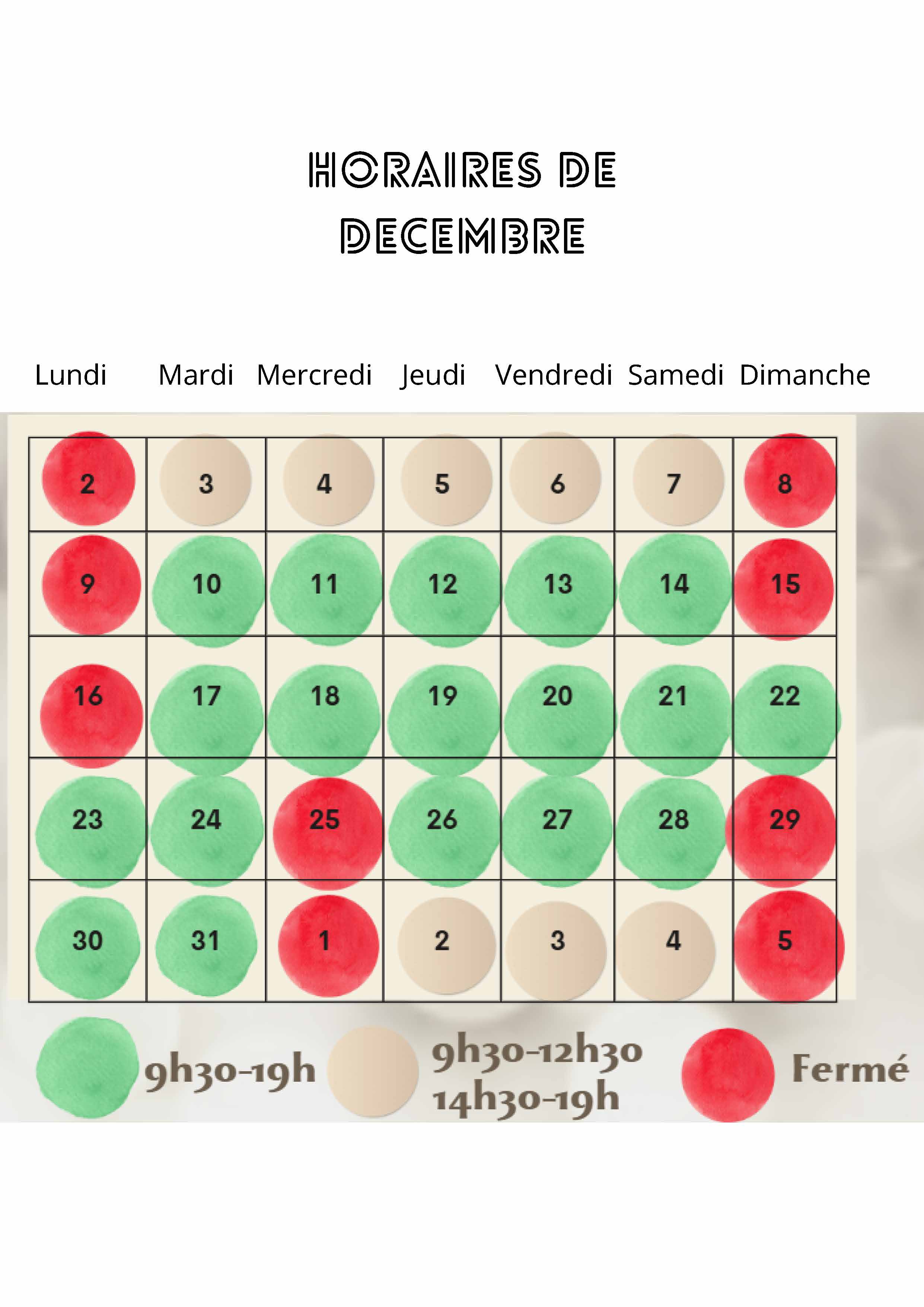 Newsletter Décembre 2024 Page 6