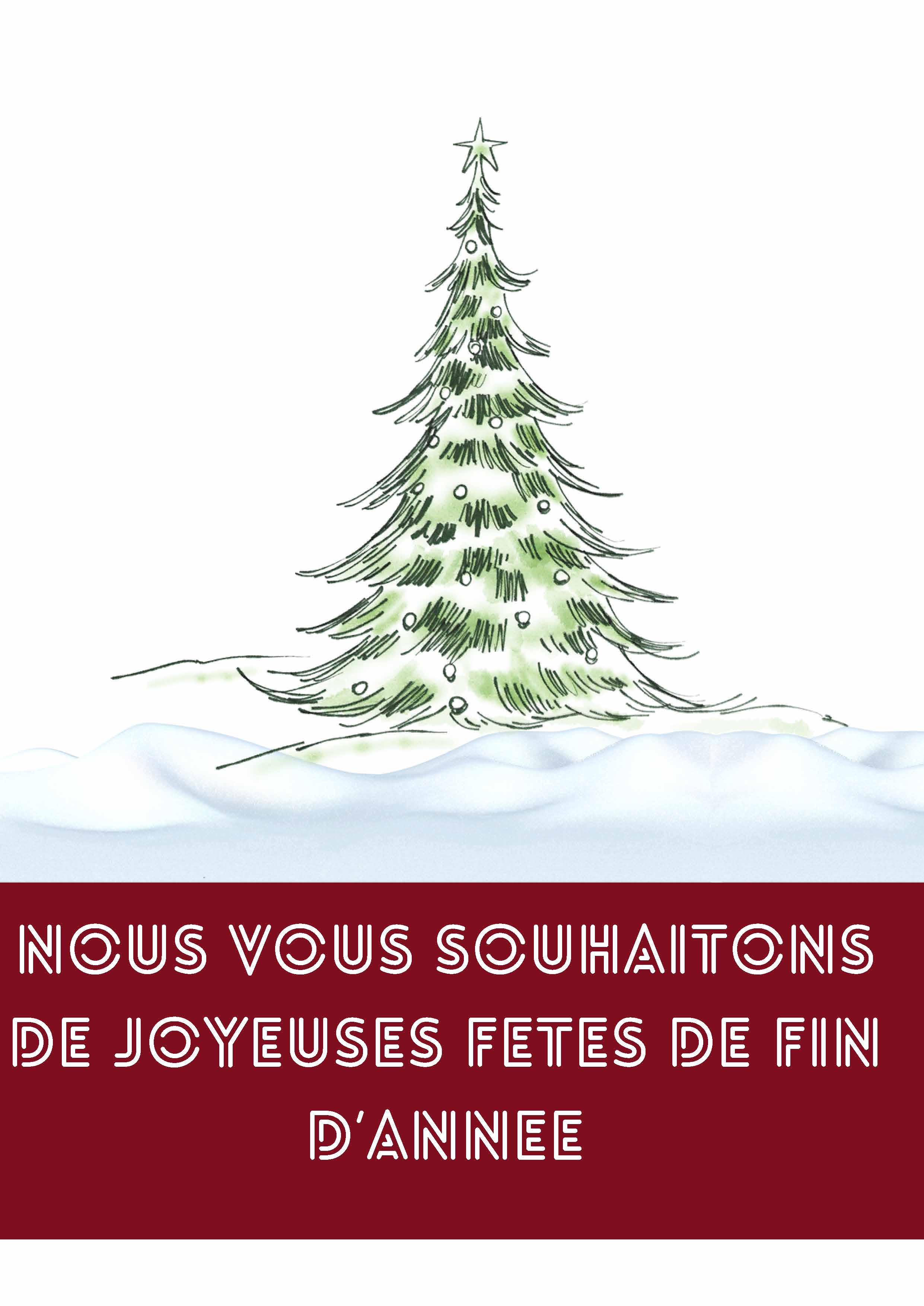 Newsletter Décembre 2024 Page 7