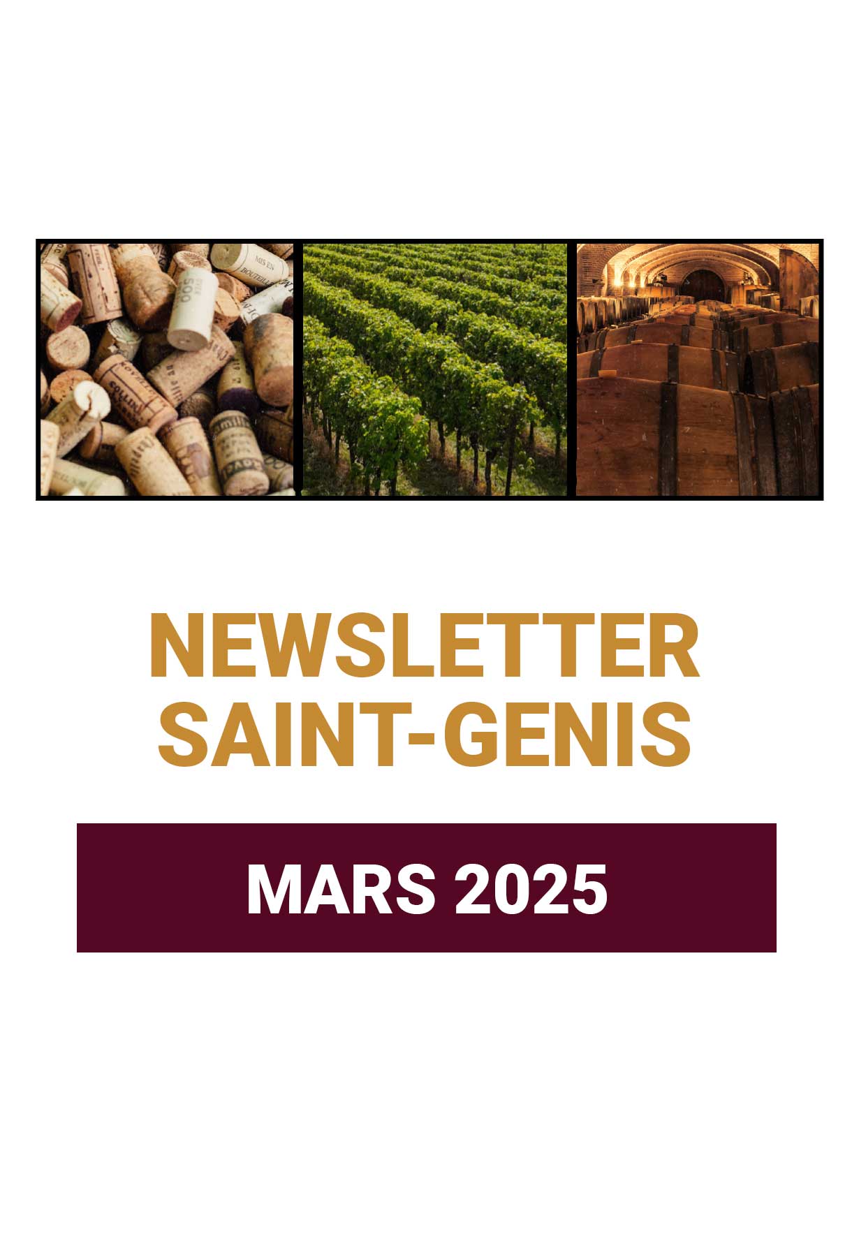 Information newsletter mars 2025