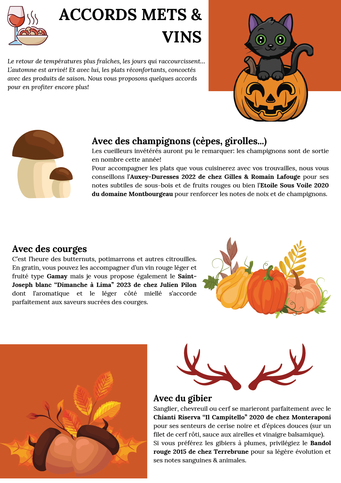 3 Newsletter Octobre 2025