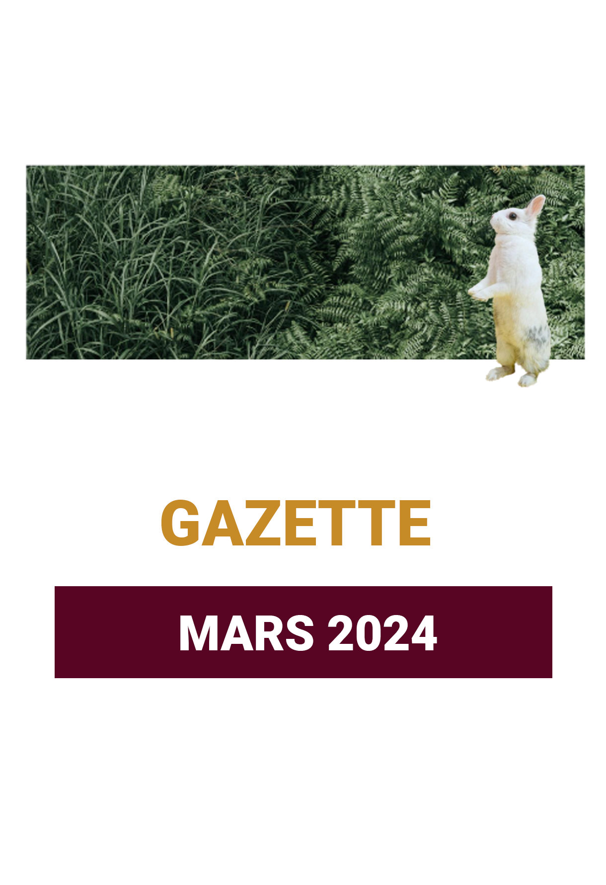 La gazette 21