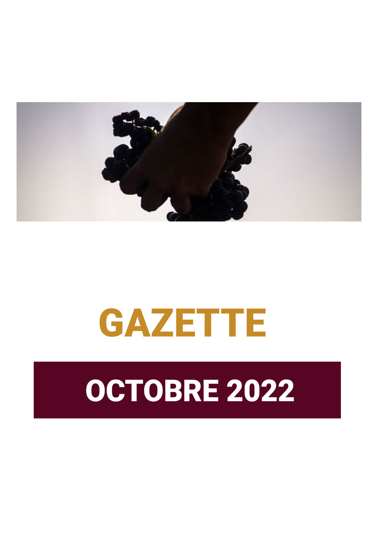 LA GAZETTE 13