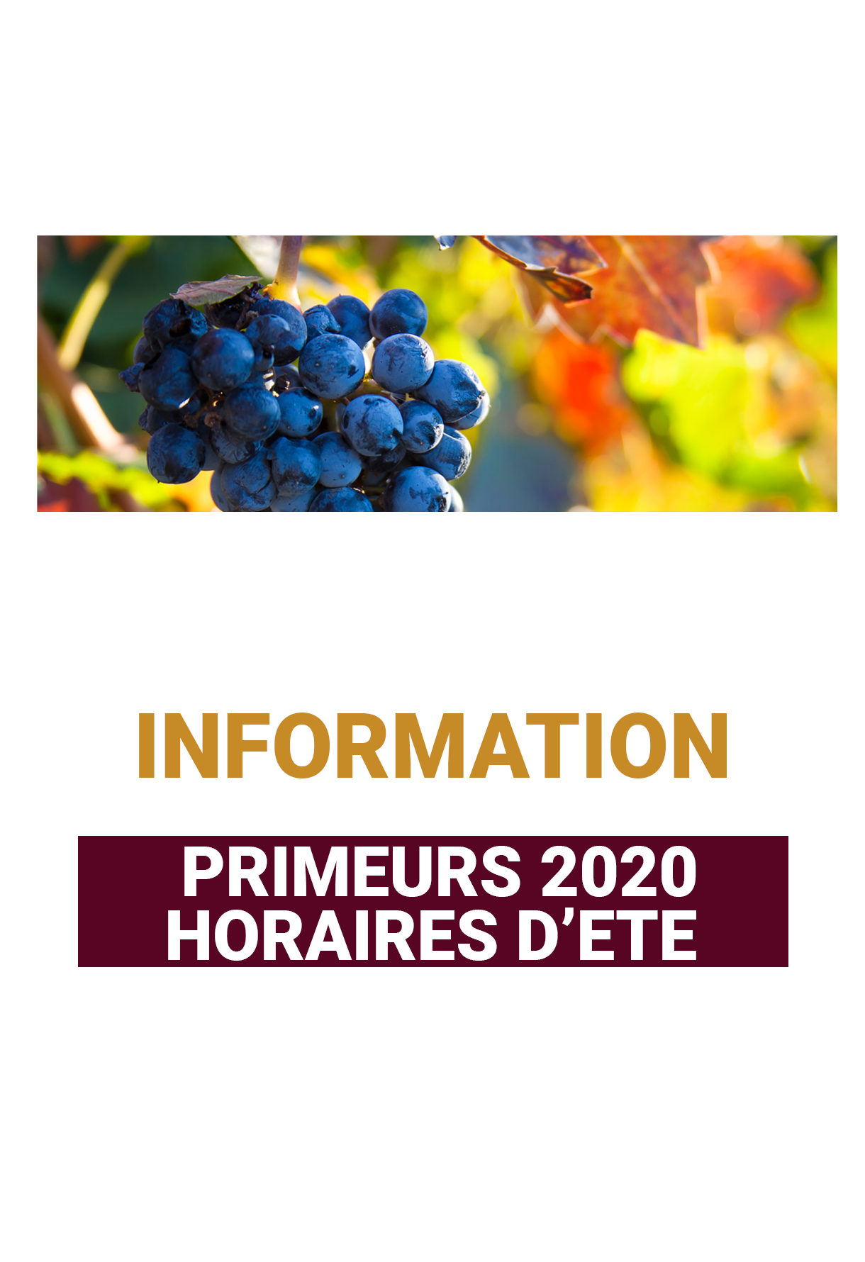 PRIMEURS 2020- HORAIRES D’ETE 